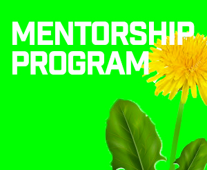 (HQ) Mentorship Program (English/Spanish/Korean)