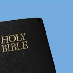 (UBF English Daily Bread) A Meeting Report on December 17, 2020