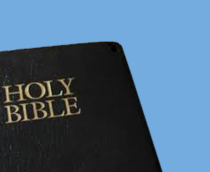 (LATIN AMERICA) 22 Missionaries from Central & South America Attended an Online Education Event on November 15, 2021