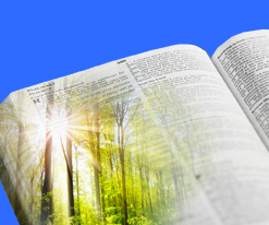(EUROPE) Bible Reading Project with Young Generation (YG)