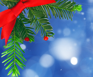 (HQ) Merry Christmas! Greetings from P. Ron & Dervilla Ward (English/Spanish/Korean)