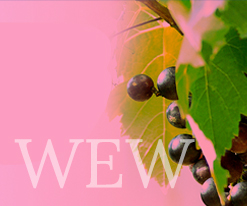 (HQ-WOMEN ENCOURAGING WOMEN COHORT) Blessings upon the WEW Spring Track: "Remain"